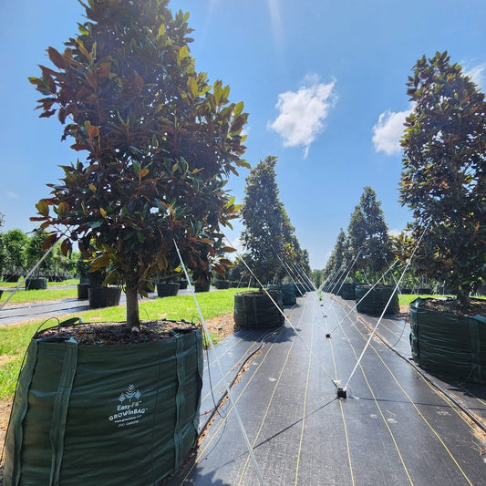 200 Gallon Grow Bag - Growinbag By GrowInnovate