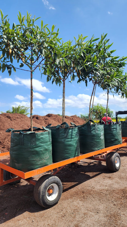 50 Gallon Grow Bag - Growinbag By GrowInnovate