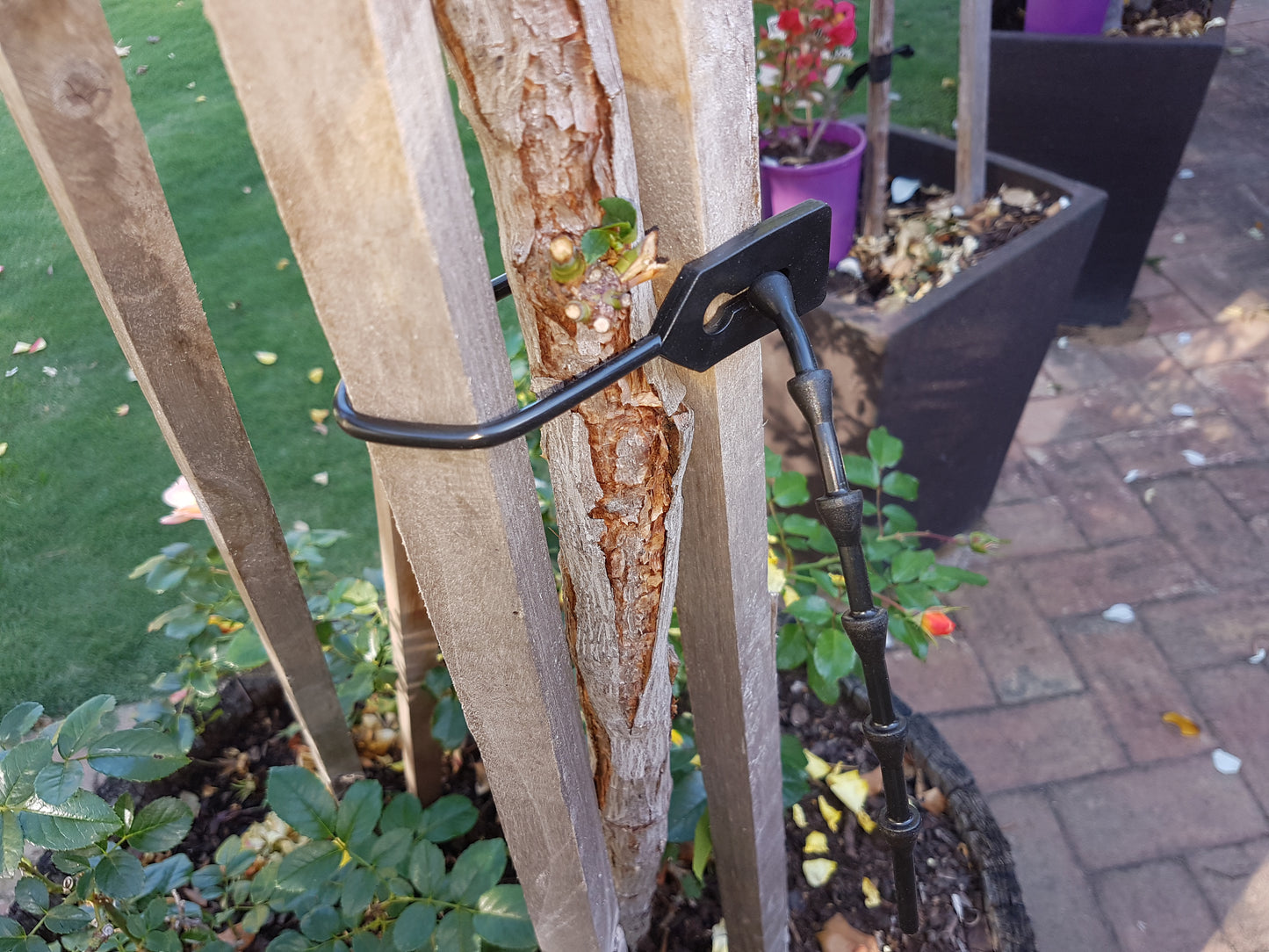 Tree ties - Growinbag By GrowInnovate