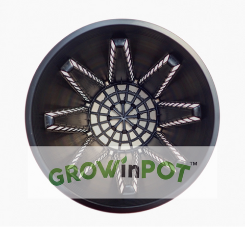 GROWinPOT 1/2 Gallon 165 pcs/carton - GROWinBAG