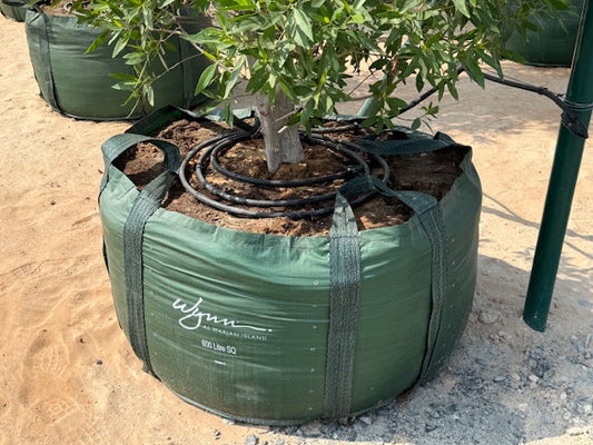 Supplying the Gulf's Mega- Projects