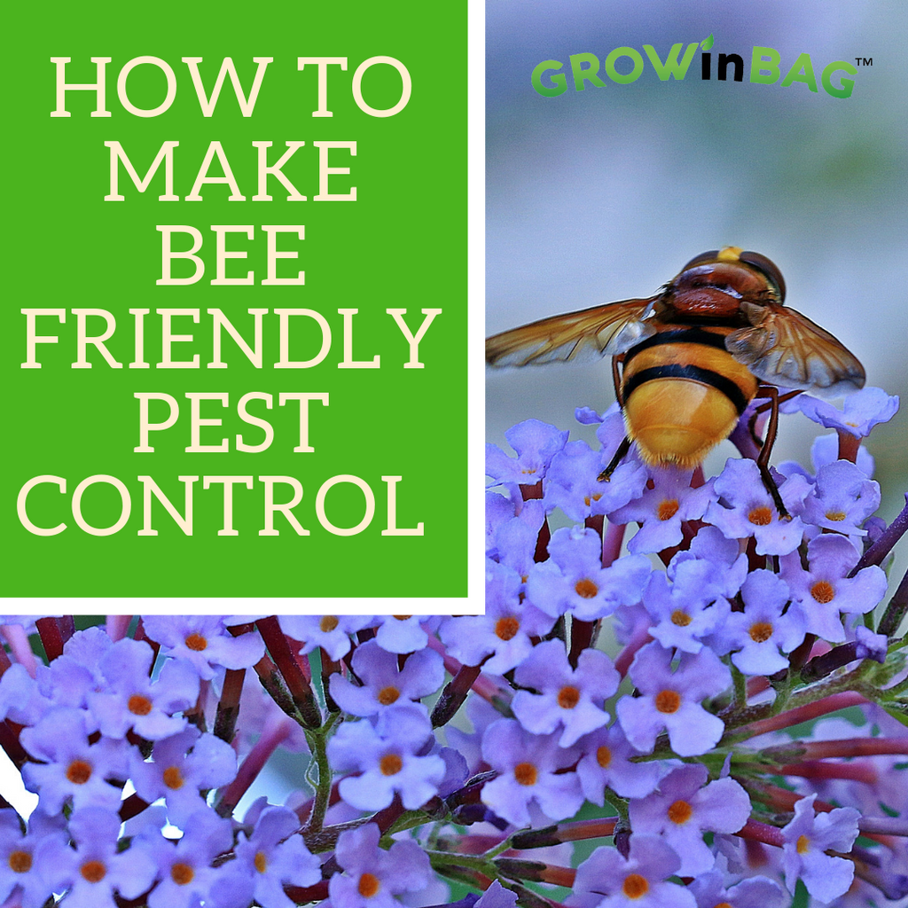 How to make bee friendly pest control.