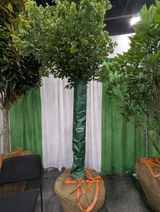 Trunk Guards - Growinbag By GrowInnovate