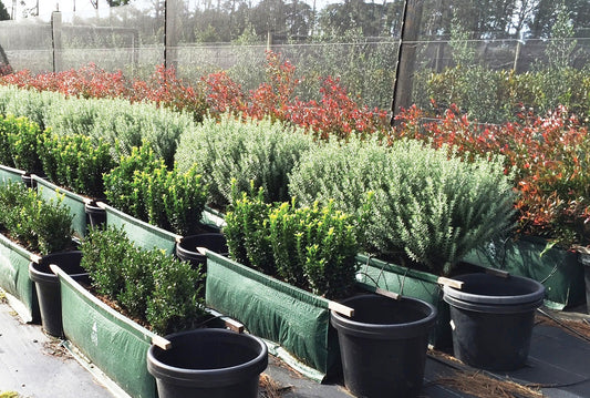 Hedge bag with two handles - Growinbag By GrowInnovate