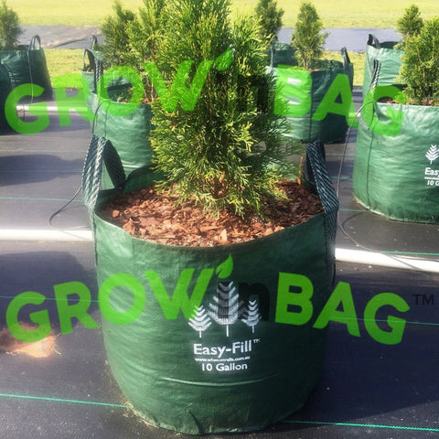 Grow Bags  10 Gallon  with 2 Handles of 10 Packs