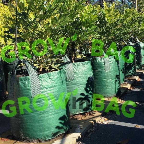 TopoGrow 5 7 10 15 20 30 45 65 100 200 Gallon Grow Bags Fabric