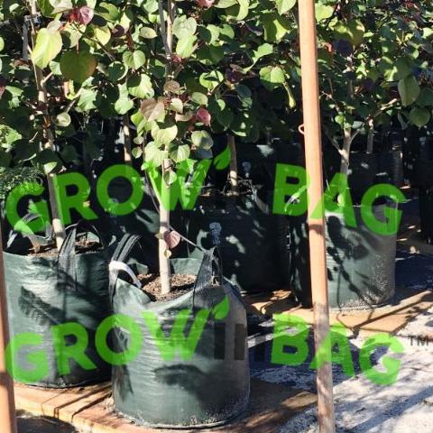  xigua Fox Plant Grow Bag 5 Gallon Heavy Duty