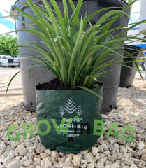 1235710152025 Gallon Black Plant Grow Bag Vegetable Flower Pot for  Garden  Wish