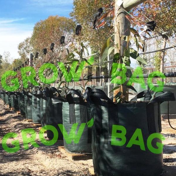 25 Gallon Grow Bag  GROWinBAG