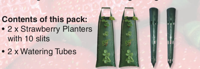 Hanging Strawberry Planter Pack of 2 - GROWinBAG