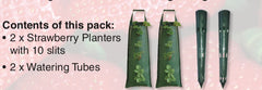 Hanging Strawberry Planter Pack of 2