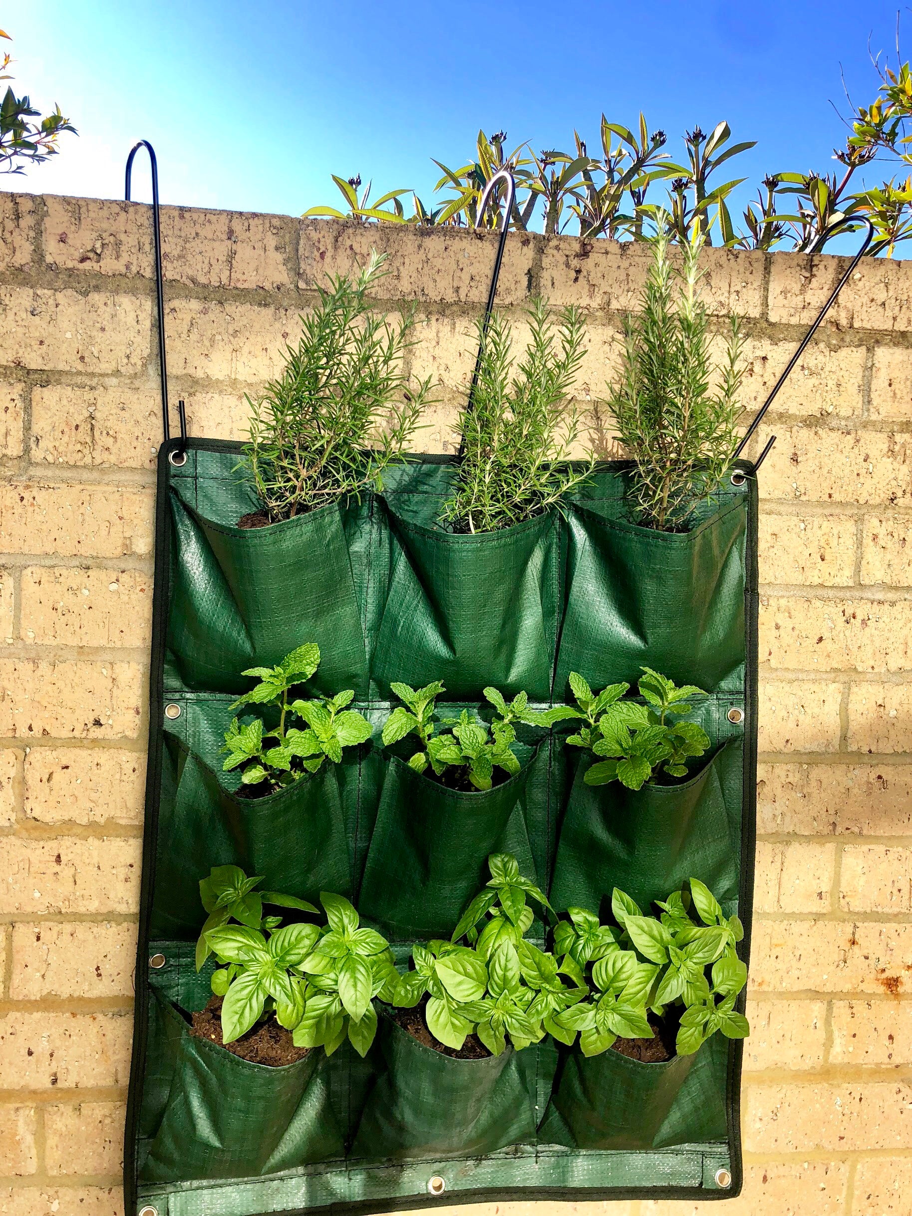 Hanging Wall Garden - GROWinBAG